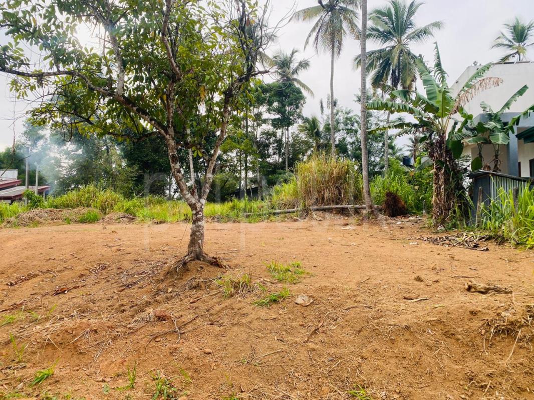 Residential Land for Sale in Kalagedihena