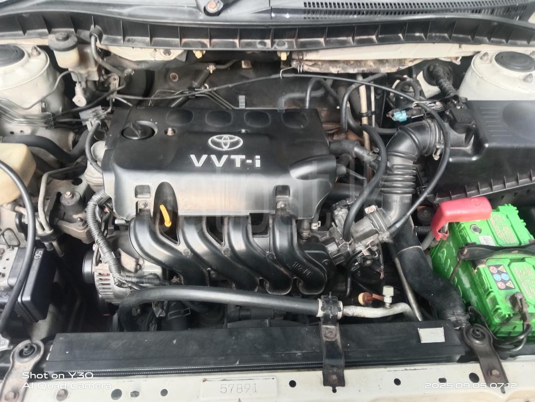 Advertisement image 6