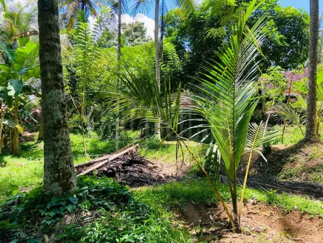 House for Sale in Kalagedihena ads-image-1