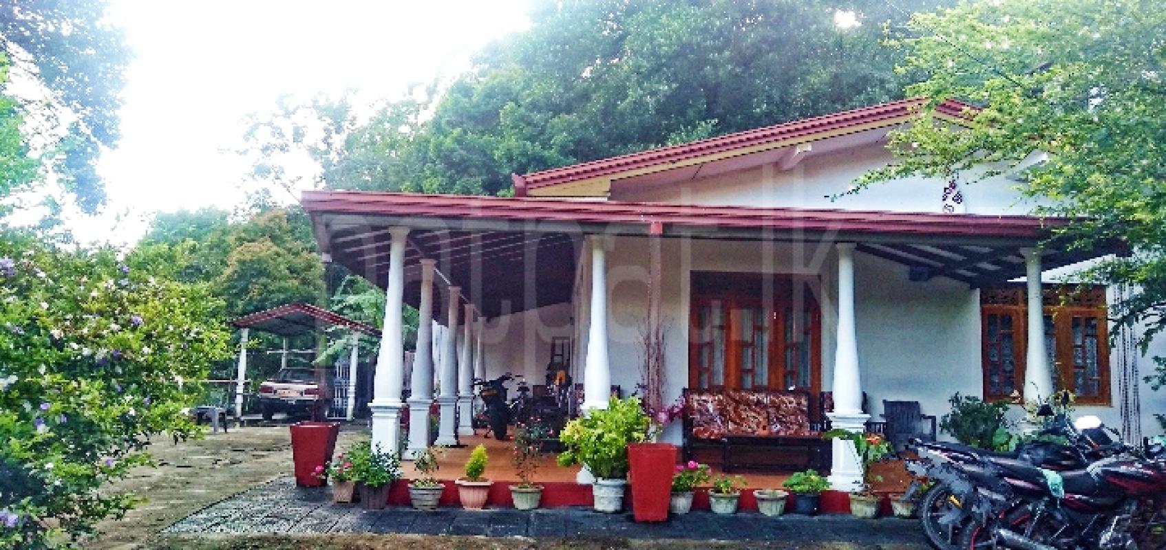 House for Sale in Bandarawela ads-image-1