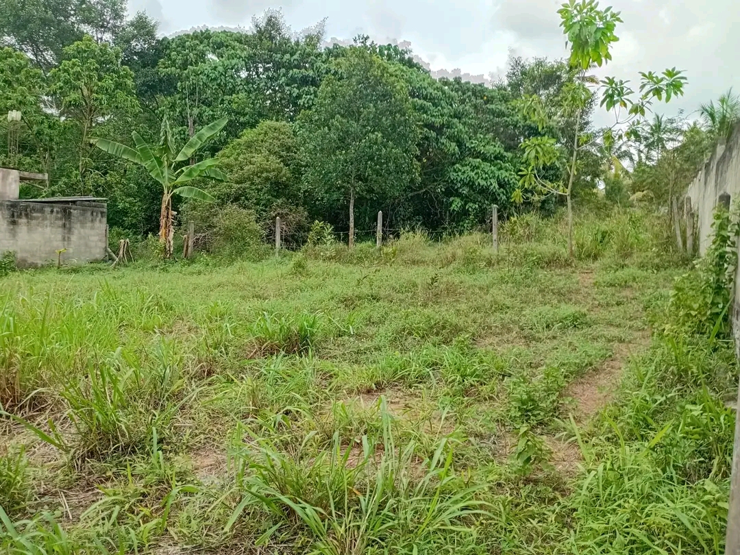 Agricultural Land for Sale in Pamunugama