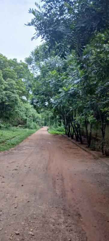 Residential Land for Sale in Kataragama ads-image-1