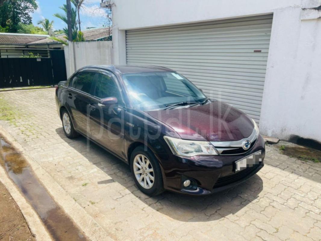 Advertisement image 3