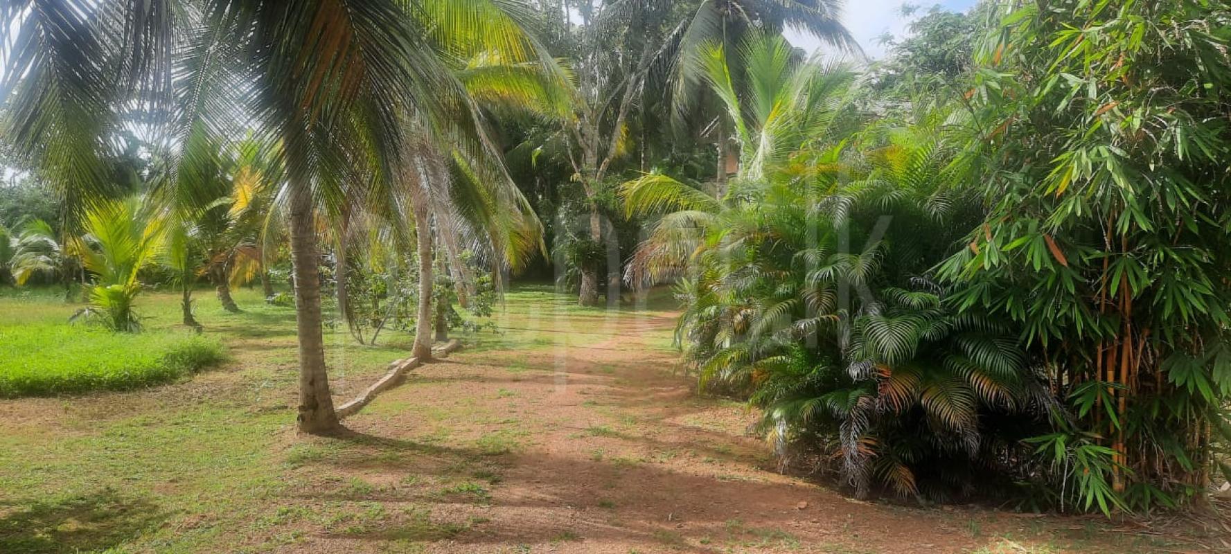 Commercial Land for Sale in Ambalangoda