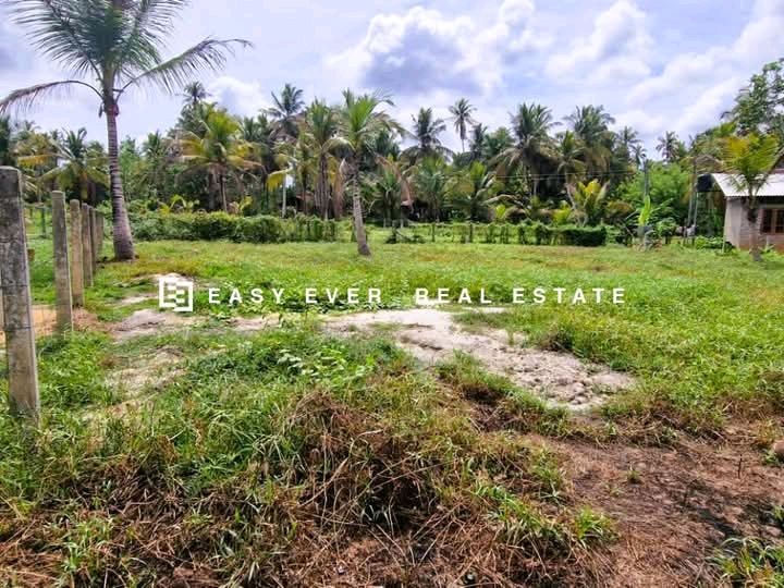 Commercial Land for Sale in Kuliyapitiya