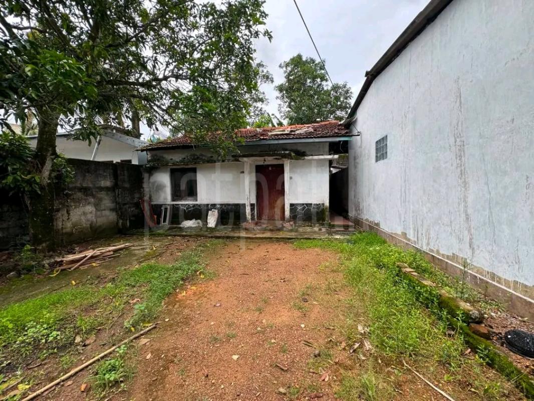 Residential Land for Sale in Maho