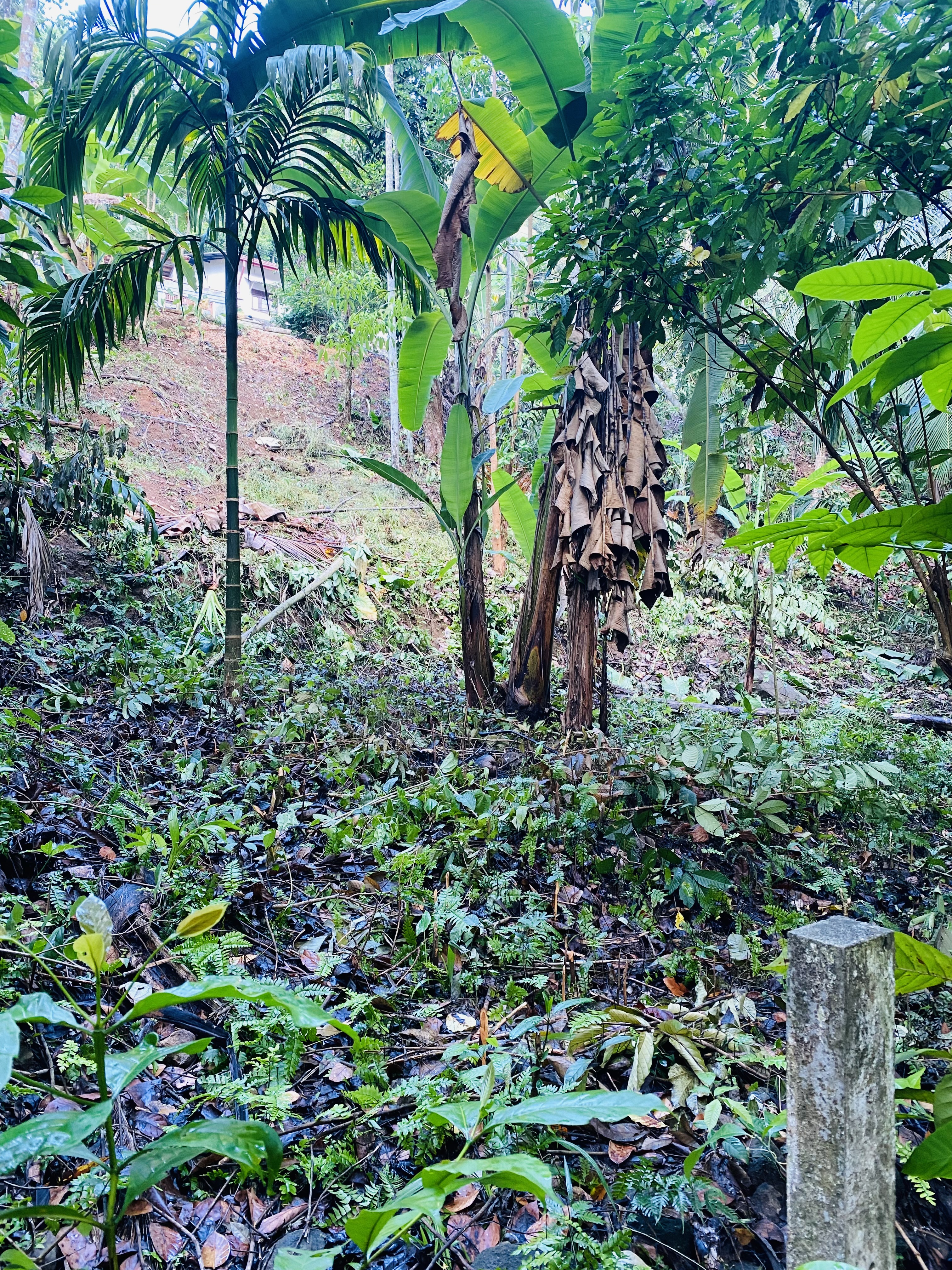 Residential Land for Sale in Rambukkana