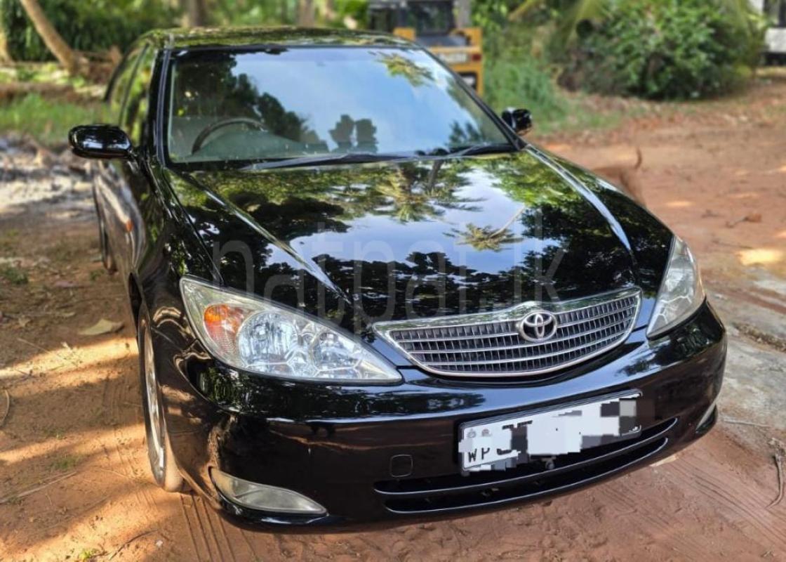 Advertisement image 1