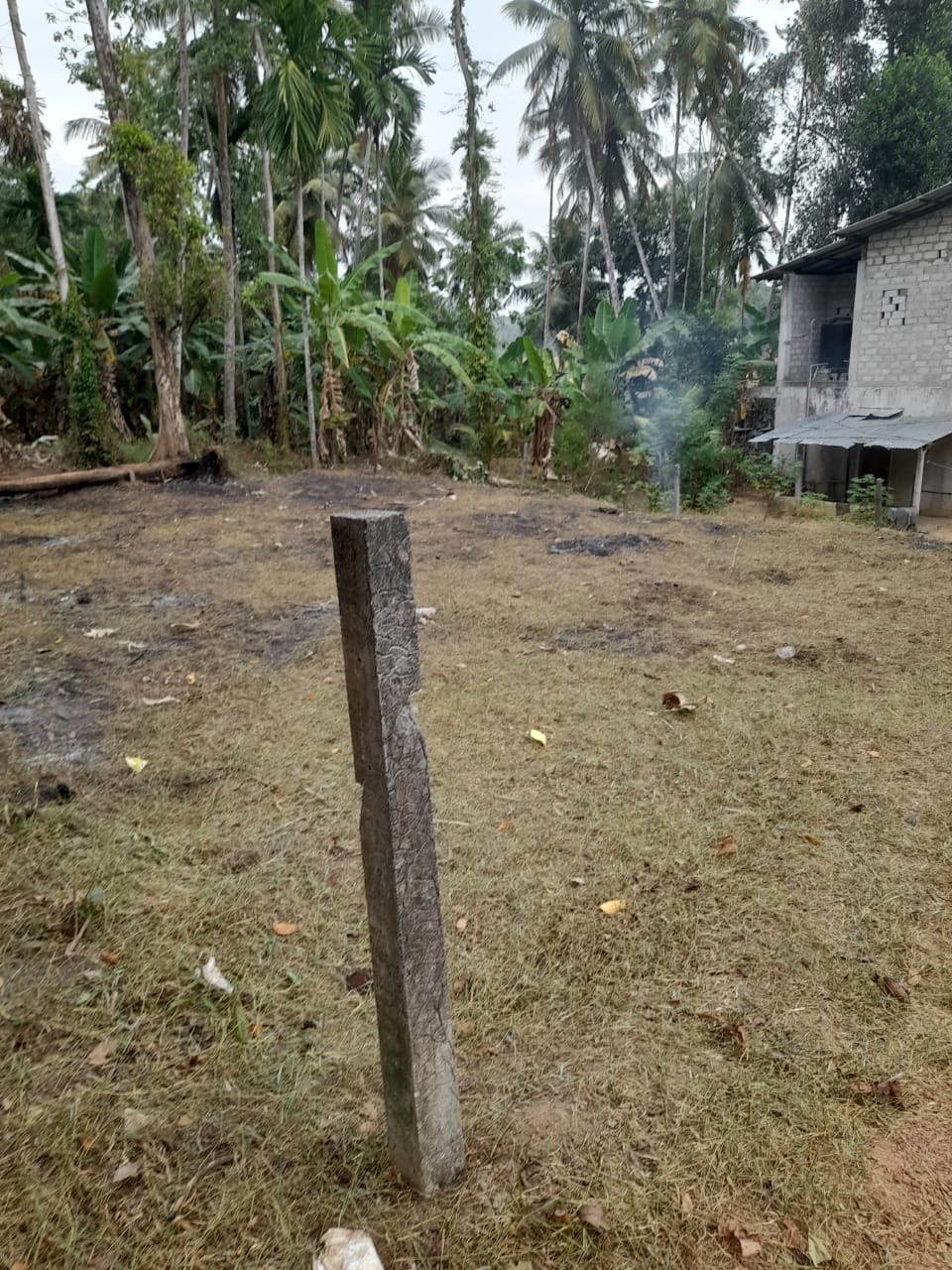 Residential Land for Sale in Kotugoda ads-image-1