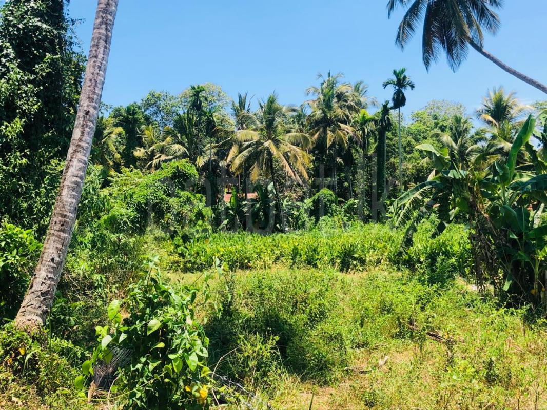  Land for Sale in Ekala