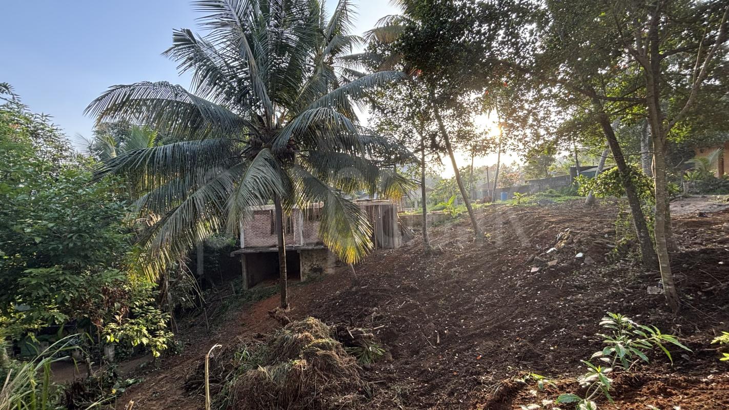 Residential Land for Sale in Kegalle ads-image-1