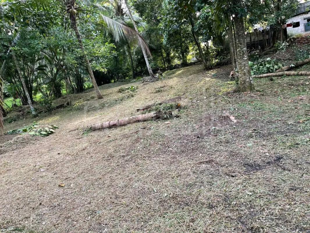 Commercial Land for Sale in Ja-Ela