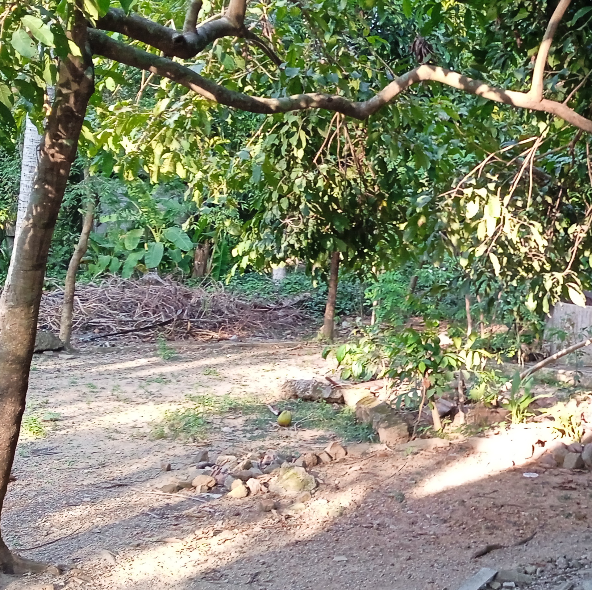 Residential Land for Sale in Homagama