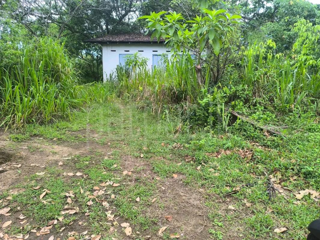 Agricultural Land for Sale in Avissawella