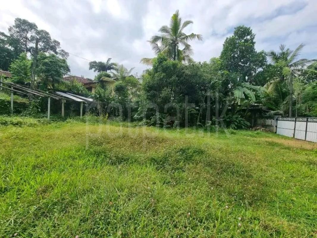 Commercial Land for Sale in Polgahawela