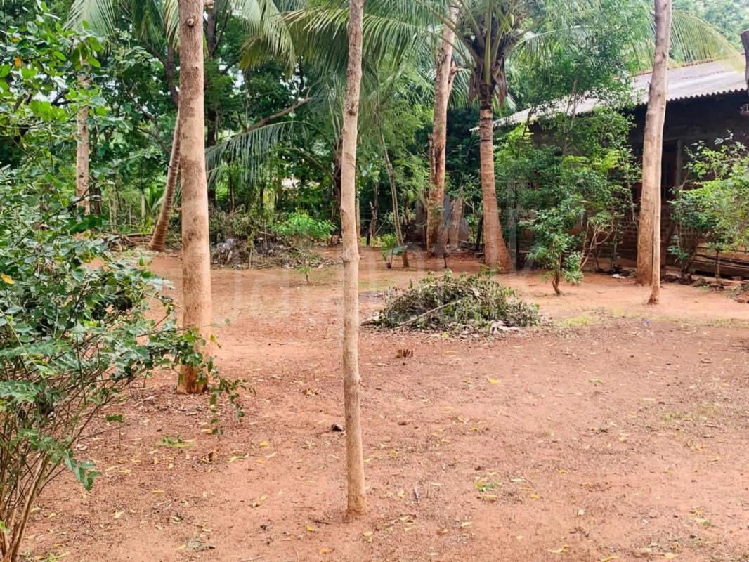 House for Sale in Kataragama ads-image-1