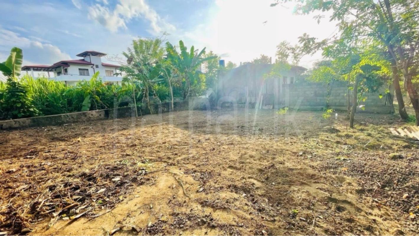Residential Land for Sale in Meepe