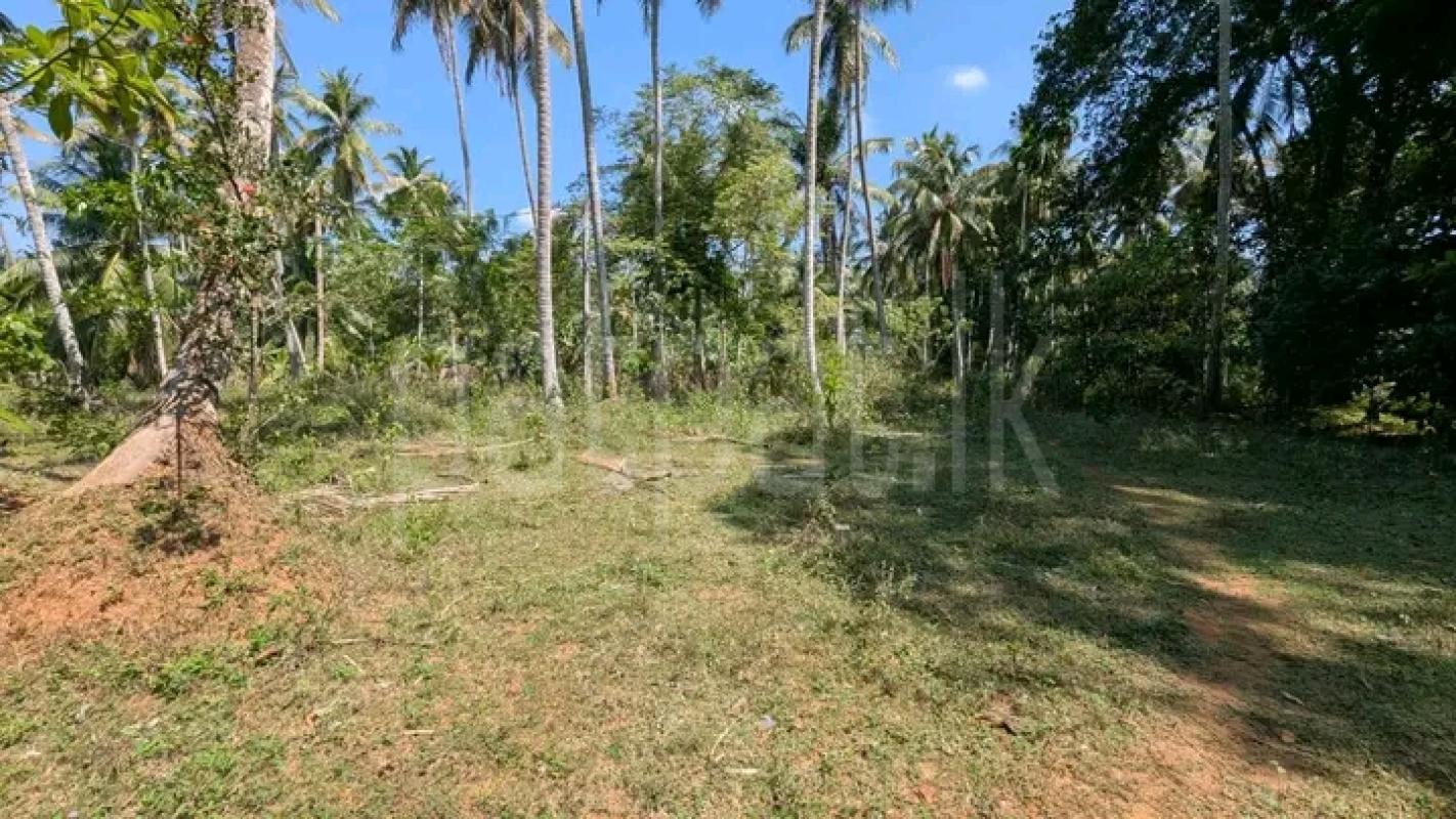 Commercial Land for Sale in Kadawatha ads-image-1