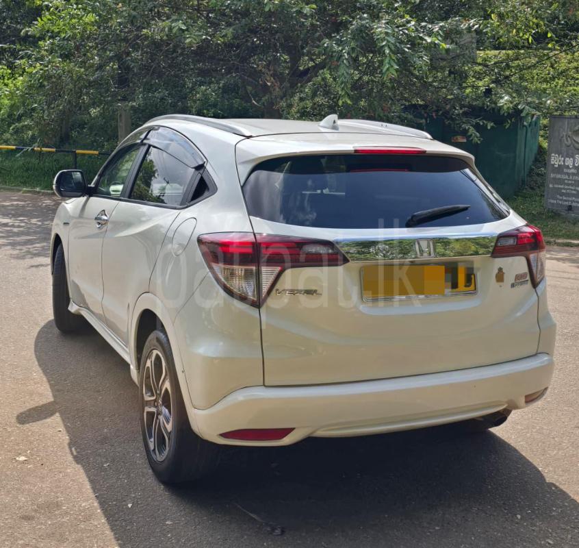 Advertisement image 4