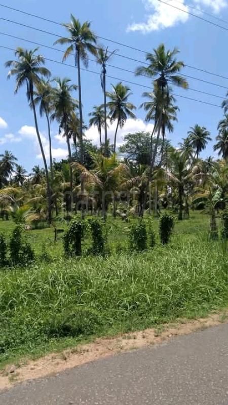 Commercial Land for Sale in Wariyapola