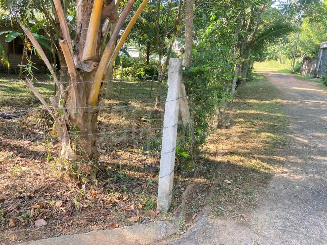 Residential Land for Sale in Moratuwa ads-image-1