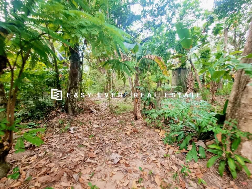 Residential Land for Sale in Veyangoda ads-image-1