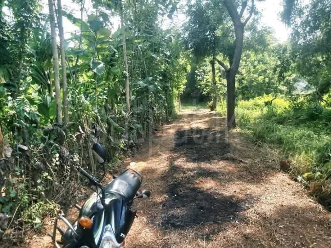 Residential Land for Sale in Sella Kataragama