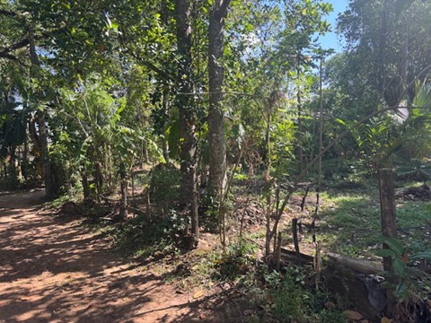 Residential Land for Sale in Piliyandala