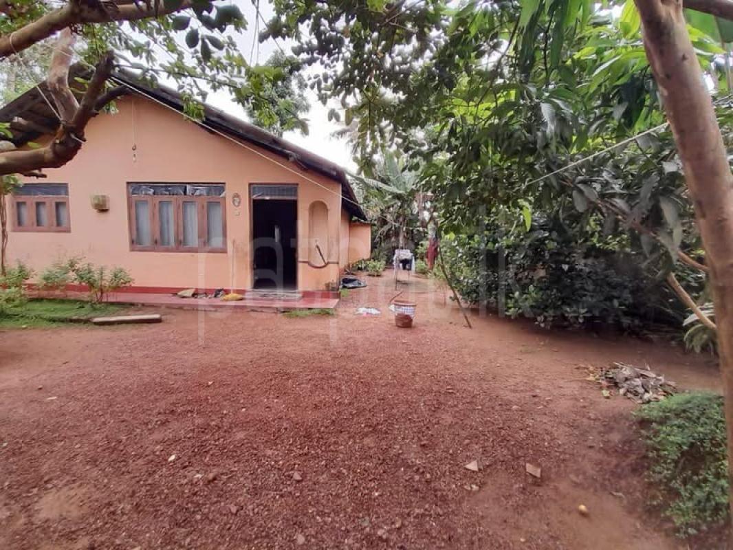 House for Sale in Panadura ads-image-1