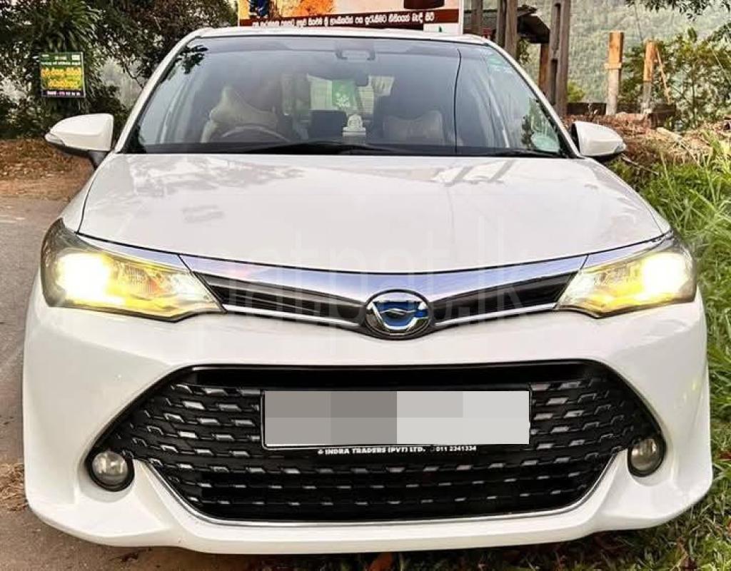 Advertisement image 3