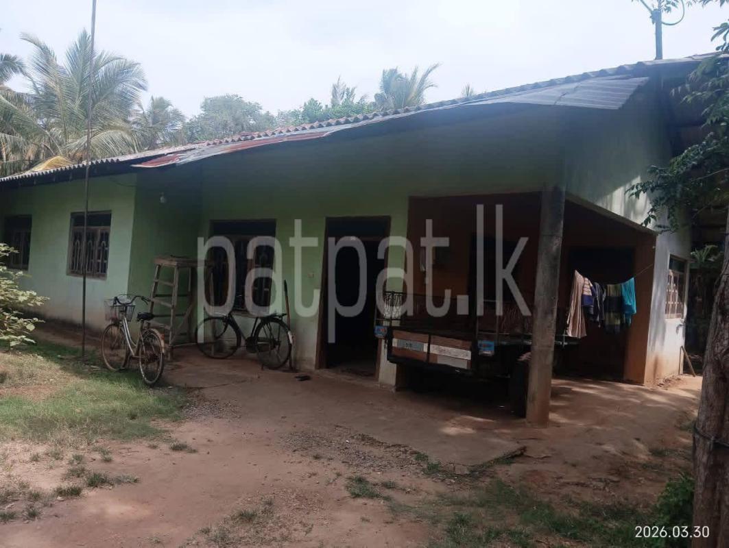 House for Sale in Tissamaharama ads-image-1