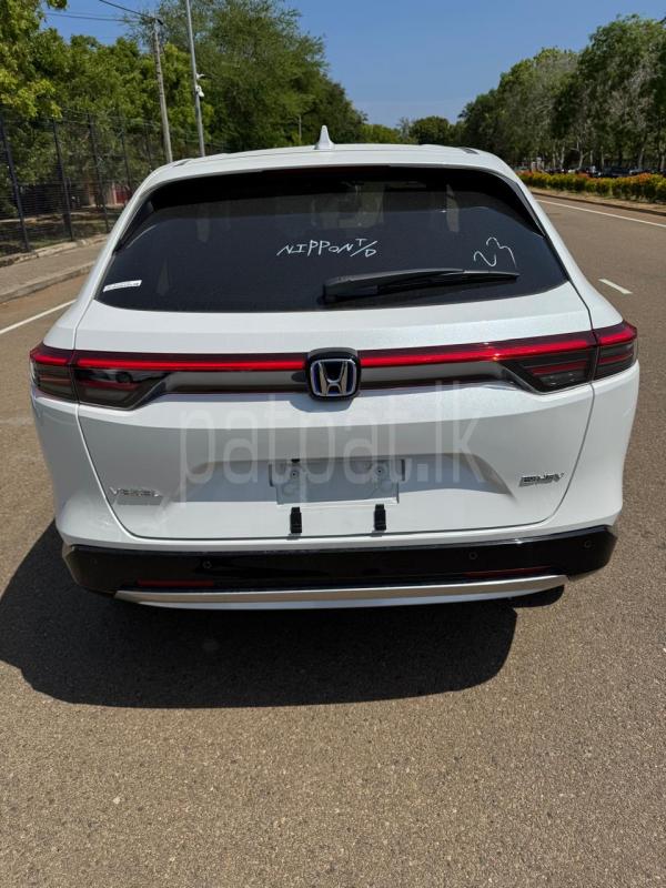 Advertisement image 2