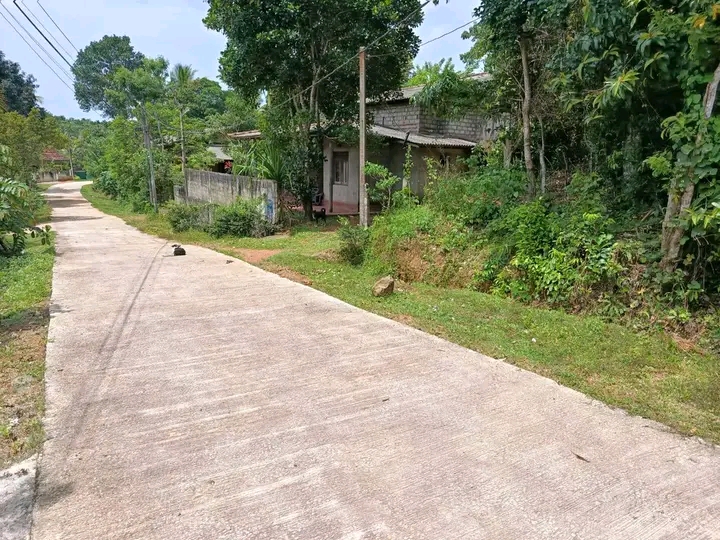 Commercial Land for Sale in Gamagoda