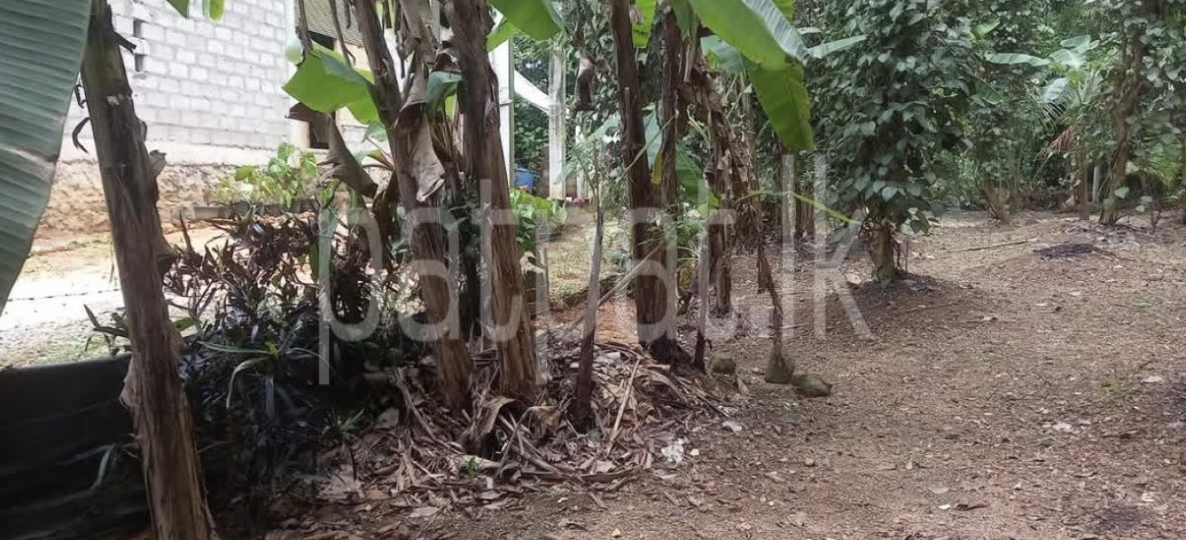 Commercial Land for Sale in Wanchawela