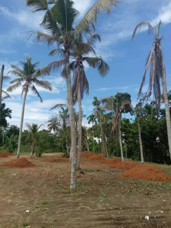 Commercial Land for Sale in Athurugiriya
