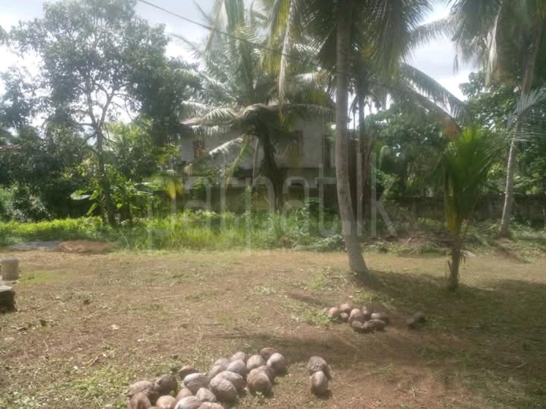 Commercial Land for Sale in Kalagedihena