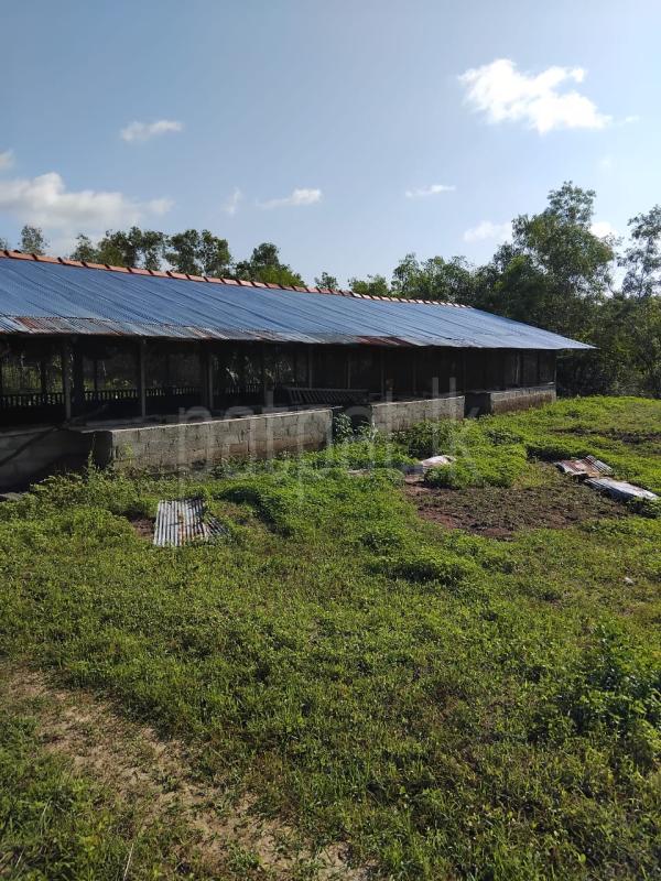 Residential Land for Sale in Puttalam ads-image-1