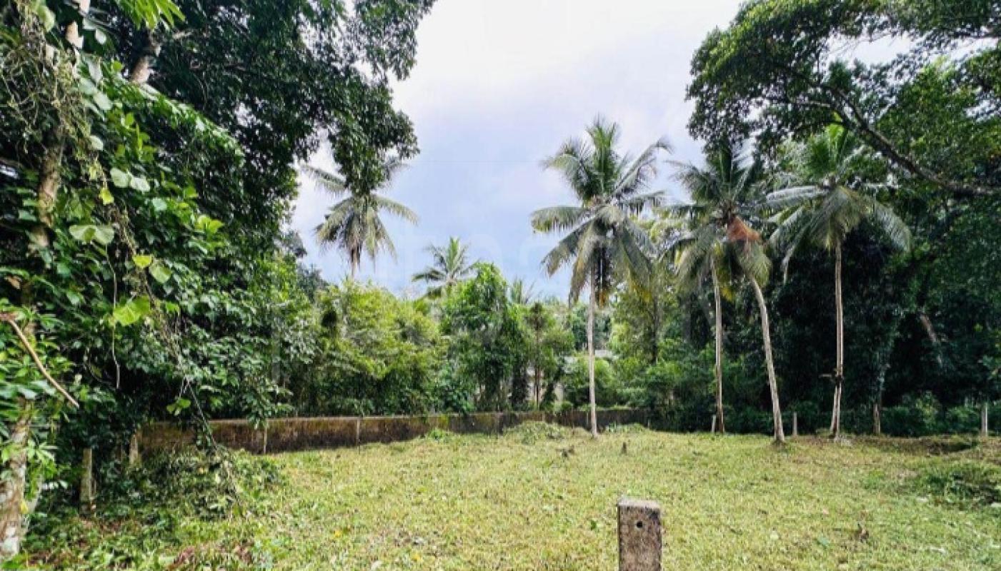 Commercial Land for Sale in Panadura