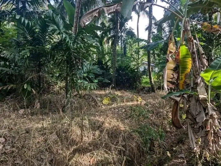 Commercial Land for Sale in Mirigama