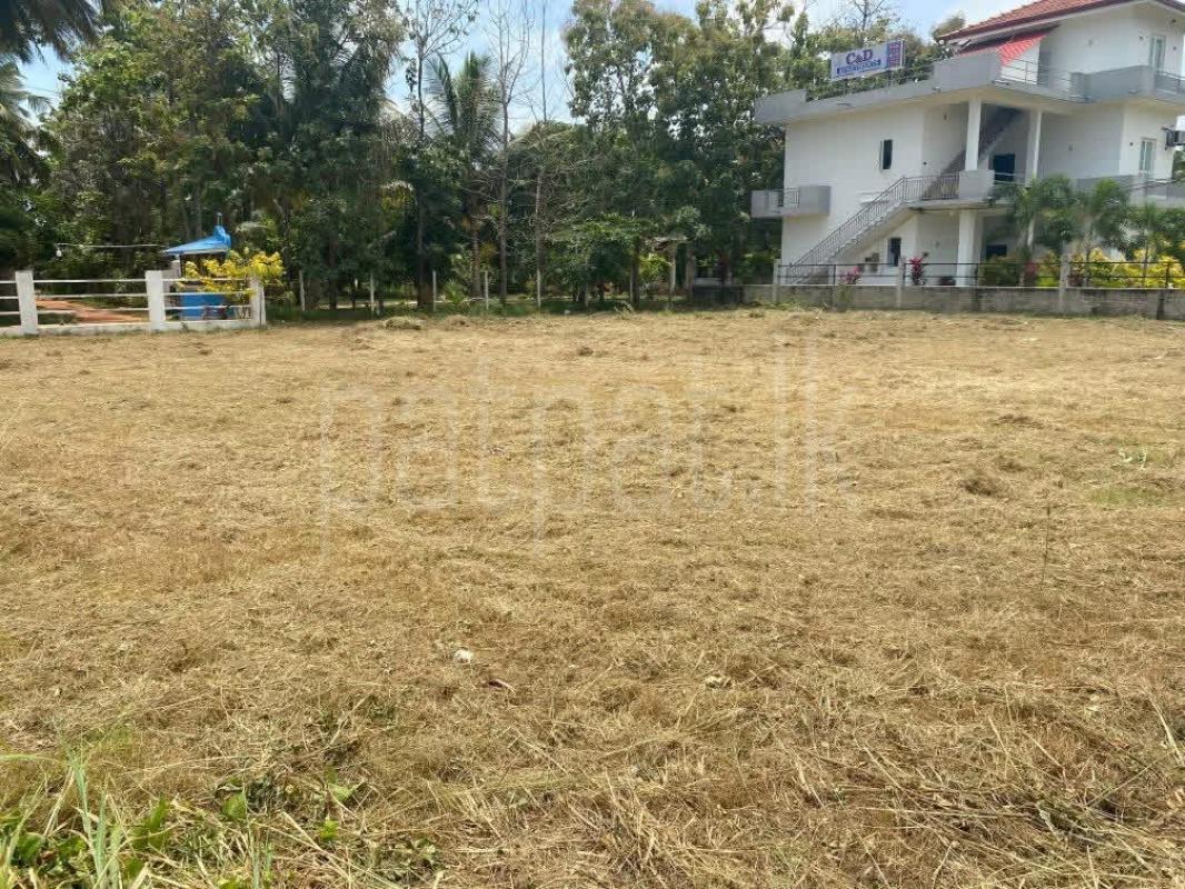 Residential Land for Sale in Marawila ads-image-1