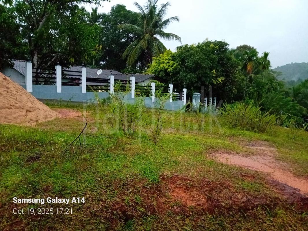 Residential Land for Sale in Urapola ads-image-1