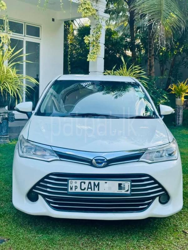 Advertisement image 3