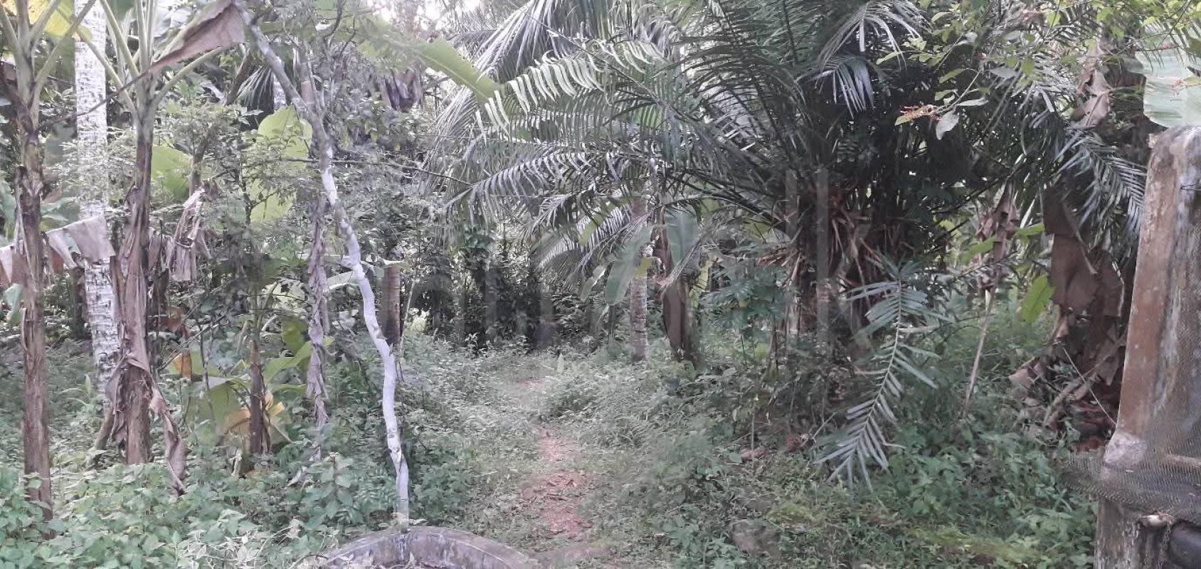 Residential Land for Sale in Athurugiriya