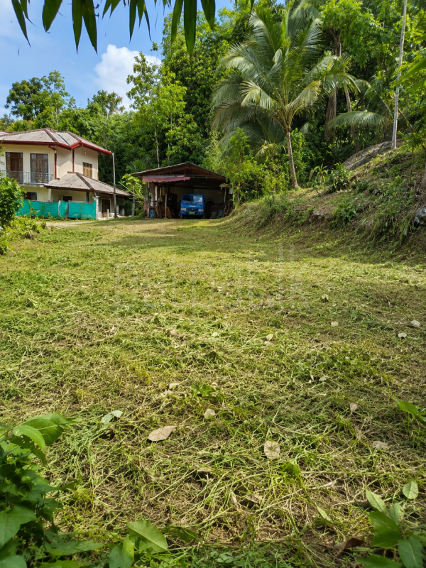 Residential Land for Sale in Kalawana