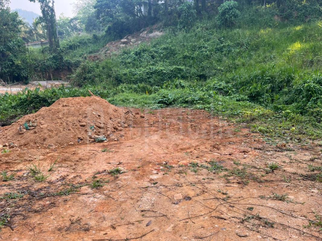 Commercial Land for Sale in Galigamuwa Town