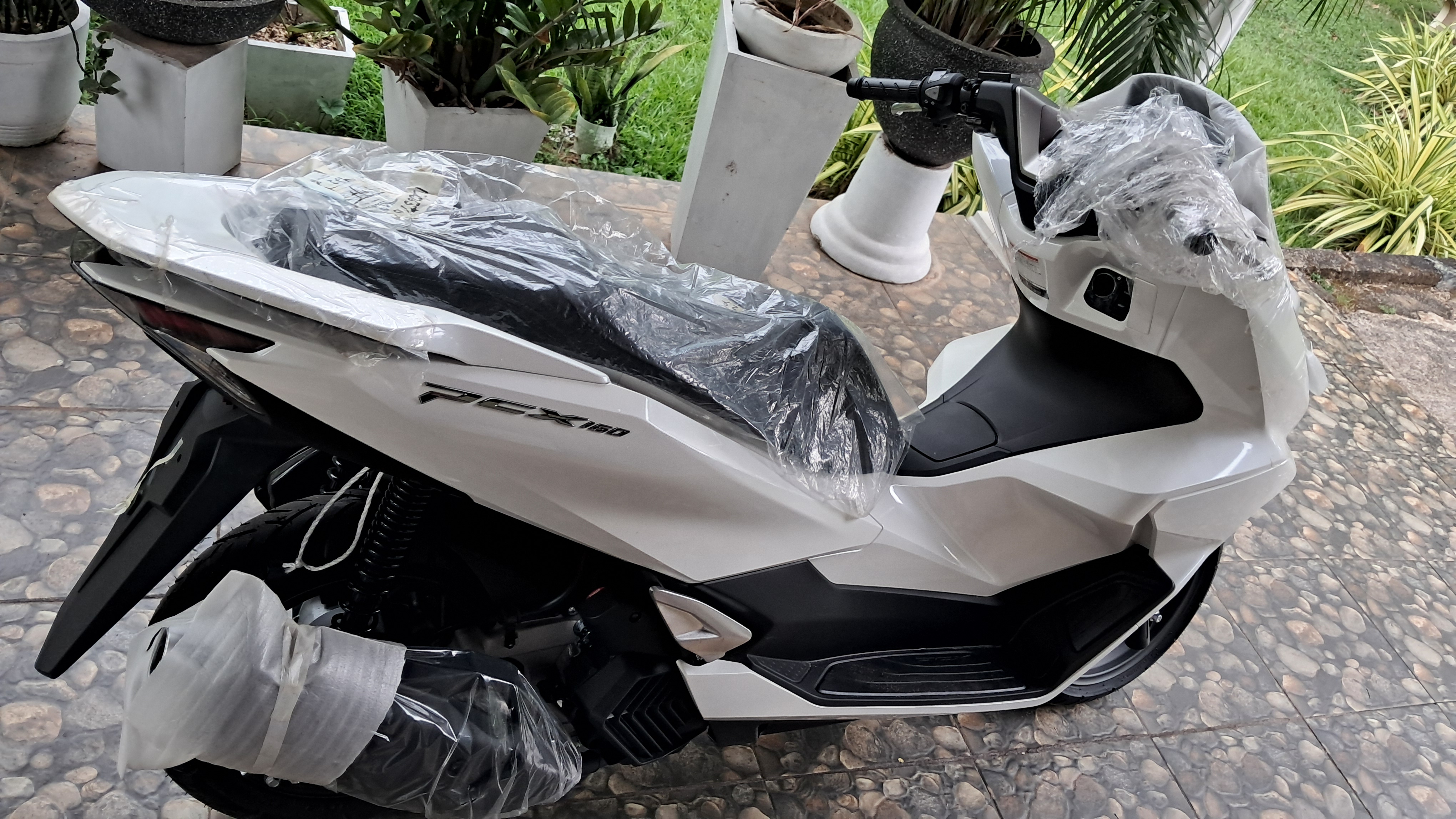 Honda PCX 2025 - சான்றளிக்கப்பட்டது பைக் sale in Sri Lanka - patpat.lk