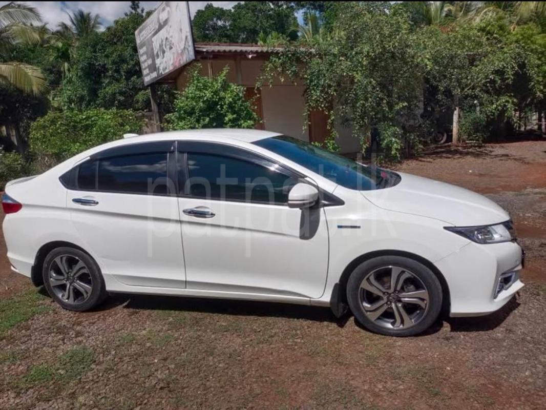 Advertisement image 4