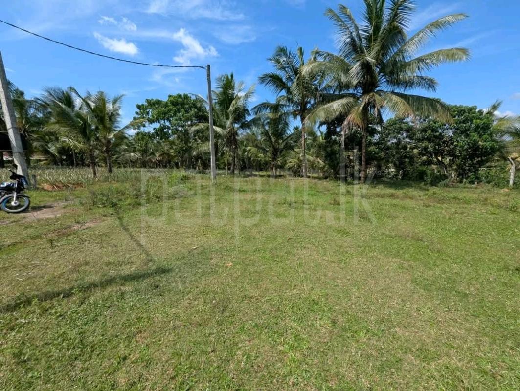 Commercial Land for Sale in Welisara