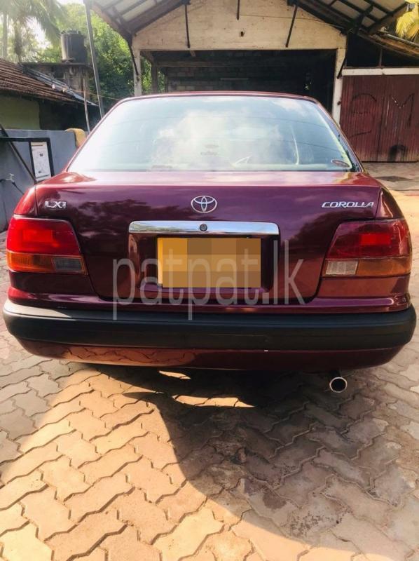 Advertisement image 5