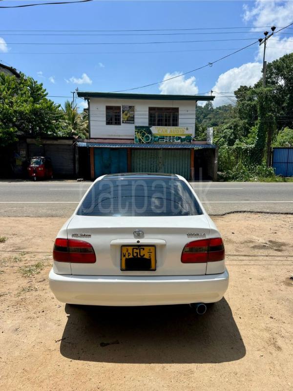 Advertisement image 2